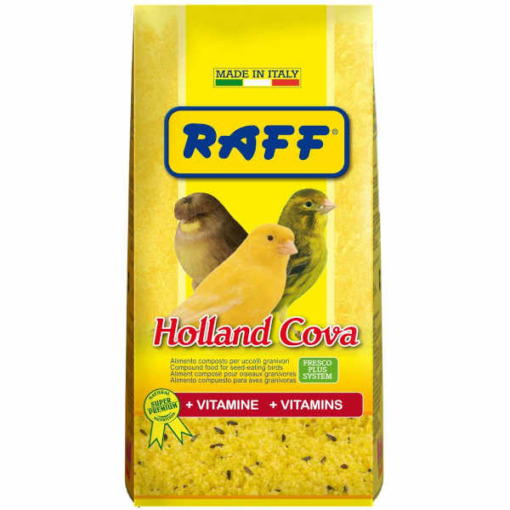 raff holland cova pasta de cria