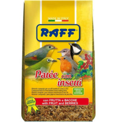 raff pate con insectos